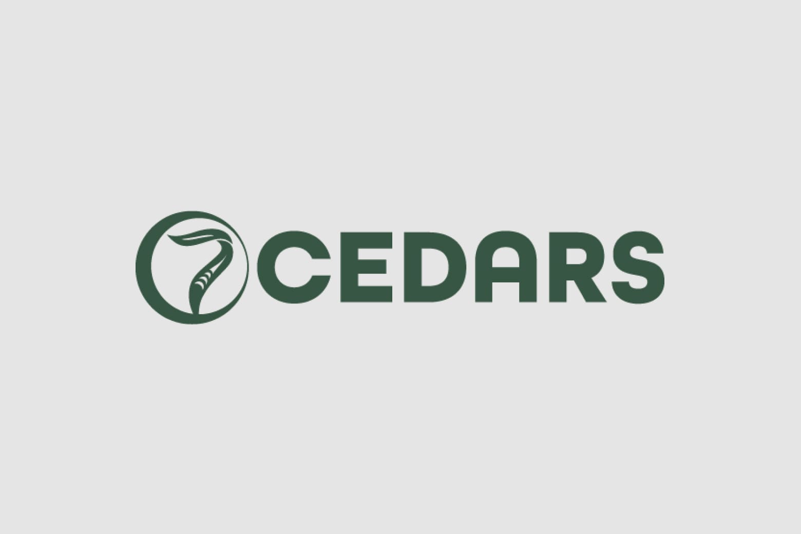 7 Cedars Casino