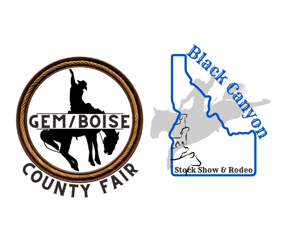 Emmett Race Track Gem County Fair