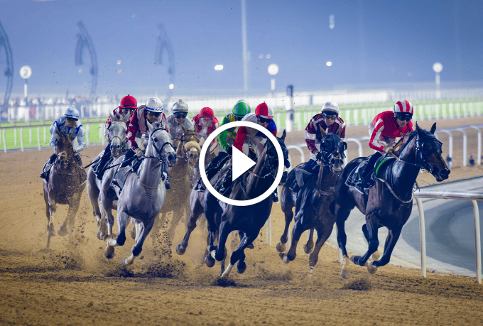 Nad Al Sheba Racecourse Dubai Racing Club